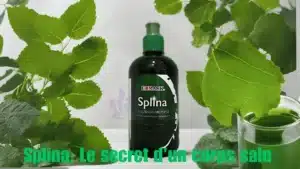 Edmark Splina - Elixir de Vitalité ✨ 11Edmark.fr - Beauté santé, bien être Le Secret Pour Un Corps Sain -liquide chlorophylle edmark